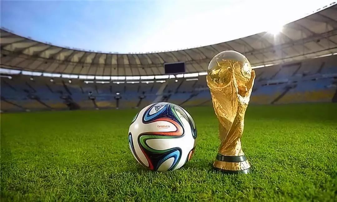 延缓认知退 延缓认知退